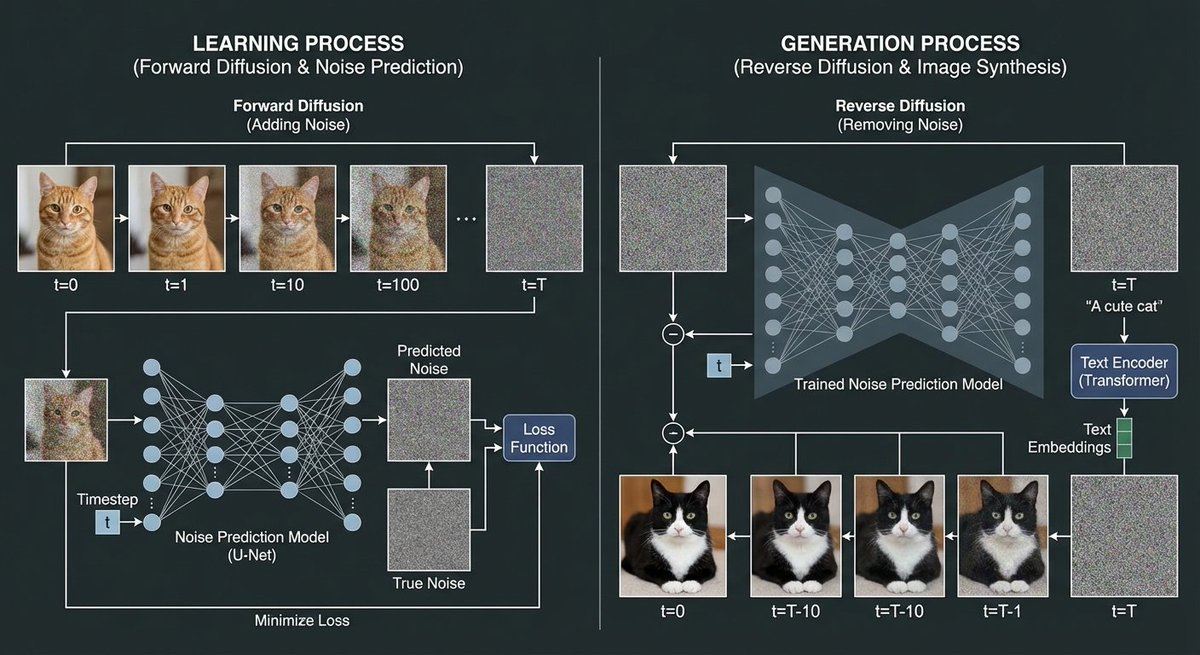Diffusion model process diagram with cat and noise images - 1